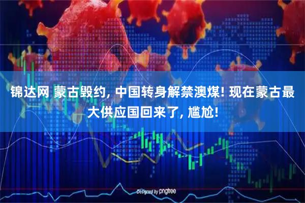 锦达网 蒙古毁约, 中国转身解禁澳煤! 现在蒙古最大供应国回来了, 尴尬!