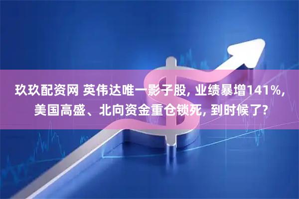 玖玖配资网 英伟达唯一影子股, 业绩暴增141%, 美国高盛、北向资金重仓锁死, 到时候了?